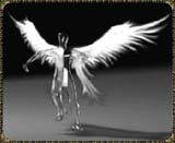 Wing Of Darkness EXE FULL